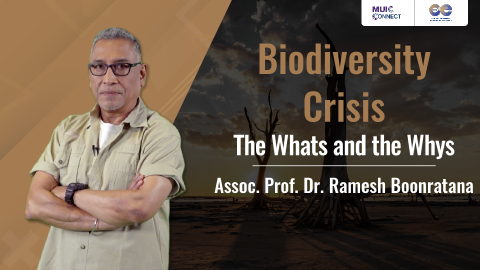 ภาพประกอบคอร์ส: Biodiversity Crisis: The Whats and the Whys